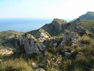 DSCF0010.JPG